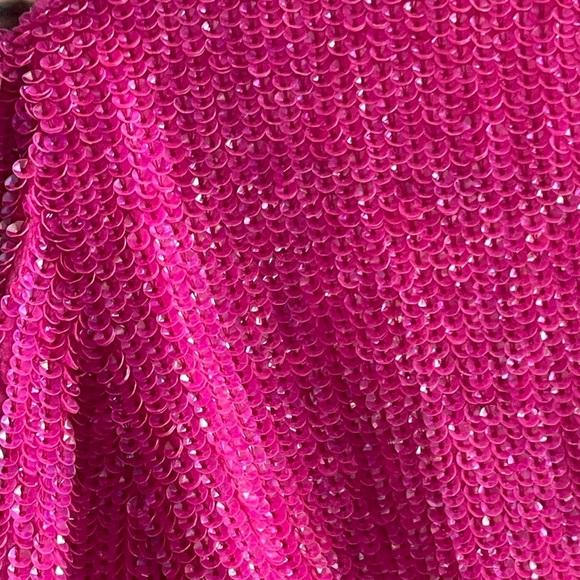 NWT Retrofête Hot Pink GABRIELLE SEQUIN ROBE - Picture 8 of 15